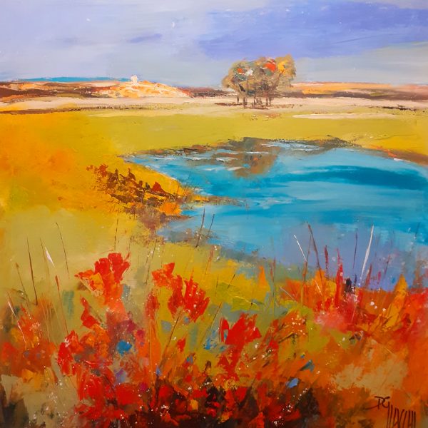 Coquelicots près du lac ( 70x70) 850€