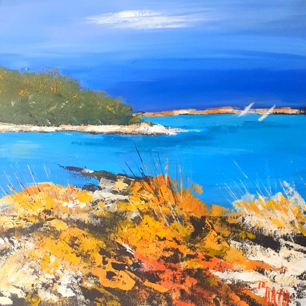 Le lagon bleu ( 50x50x3)  450€